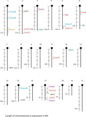 Gene-Specific Sex Effects on Susceptibility to Infectious Diseases